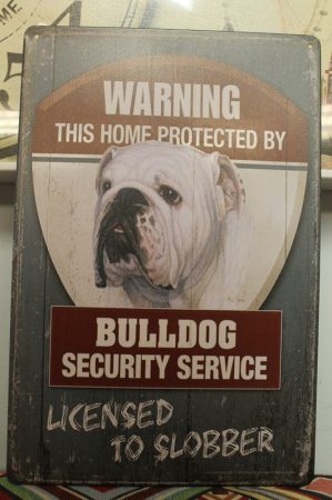 fém kép: Bulldog security service