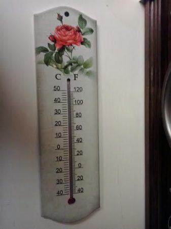 Virágos hőmérő 2