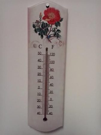 Virágos hőmérő 5