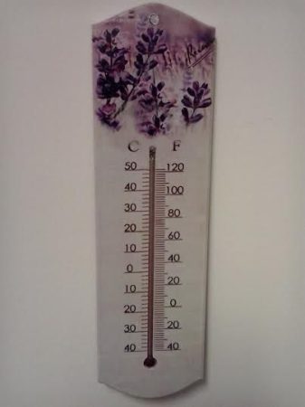 Virágos hőmérő 8
