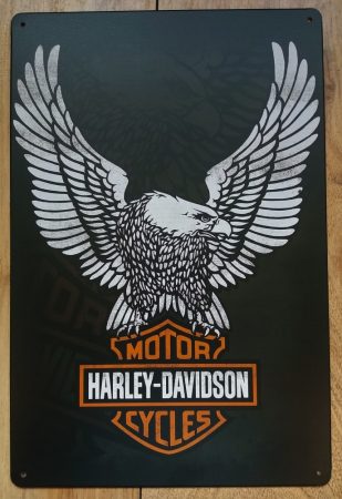 Fém kép: Harley Davidson