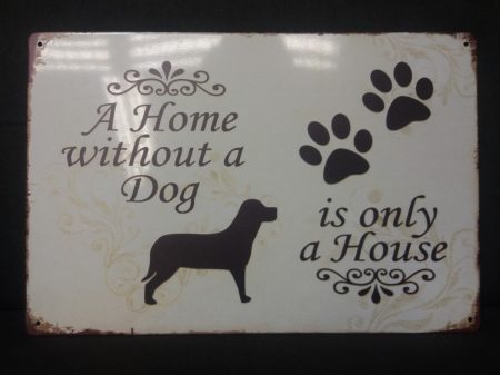 fém kép: a Home without dog